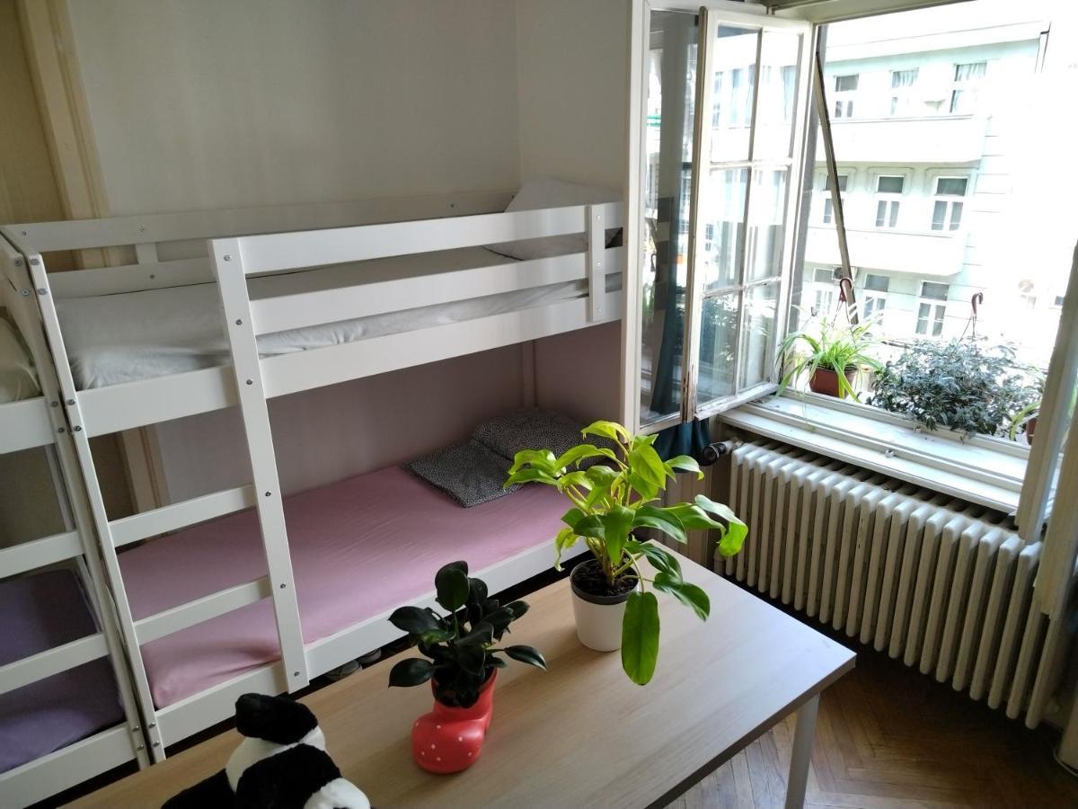 Monica'S House Hostel Belgrád Kültér fotó